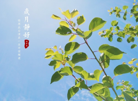 愿歲月靜好，山河無(wú)恙